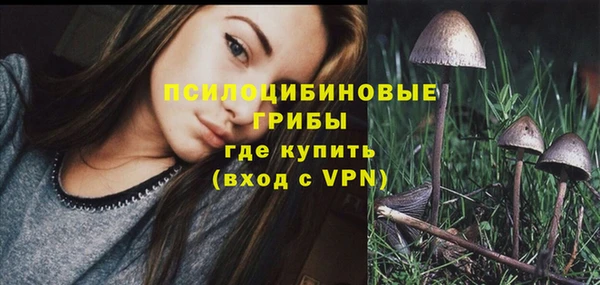 ГАЛЛЮЦИНОГЕННЫЕ ГРИБЫ Белоозёрский