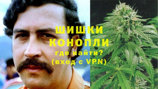 ГАЛЛЮЦИНОГЕННЫЕ ГРИБЫ Белоозёрский