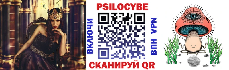 Псилоцибиновые грибы Cubensis цены наркотик площадка состав Очёр мега сайт
